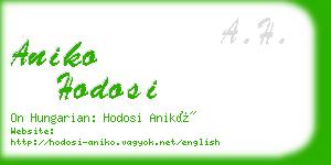 aniko hodosi business card